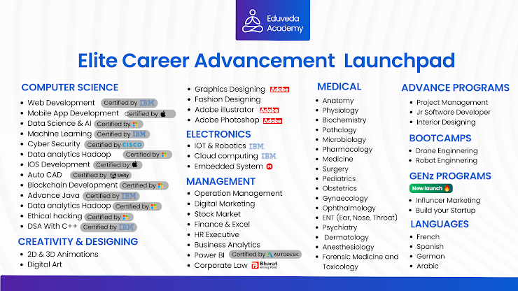Elite Career Advancement Launchpad Programs
